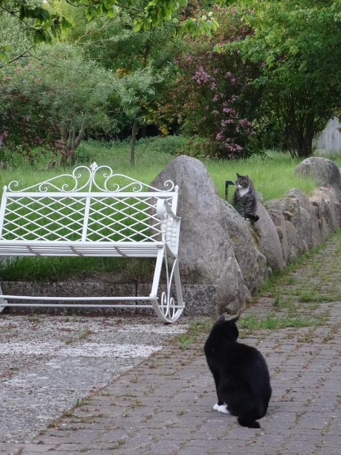 Dat Luette Nest Brodersby  Zewnętrze zdjęcie